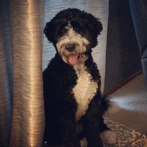 Meet your Posher, Karlie